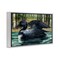 Stupell Industries Swimming Woodland Loon Framed Giclee Wall Art Design by Paul Brent